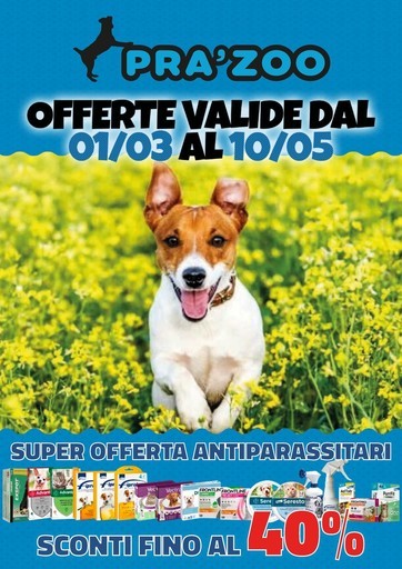 Volantino Prazoo