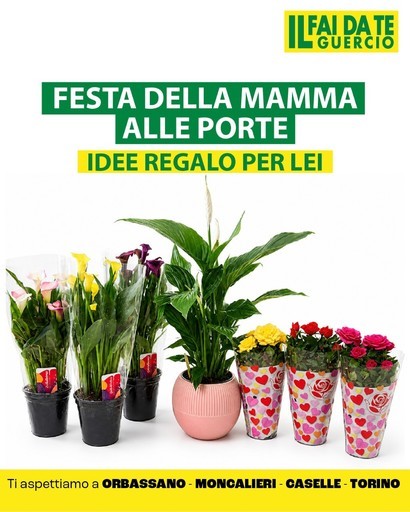 Volantino Faidate Guercio