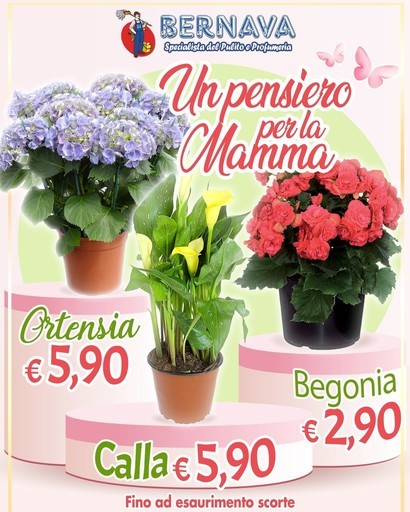 Volantino Bernava