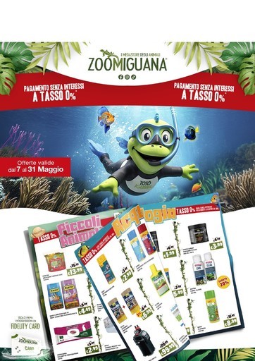 Volantino Zoomiguana