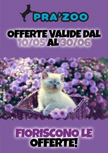 Volantino Prazoo