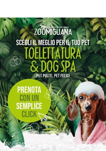 Volantino Zoomiguana