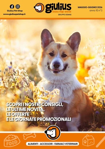 Volantino Giulius Petstore