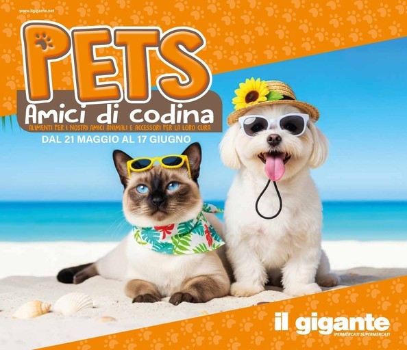 Volantino Il gigante