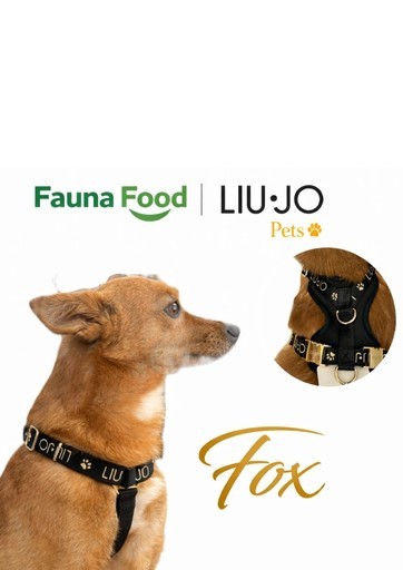 Volantino Fauna Food