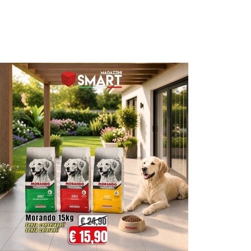 Volantino Magazzini Smart