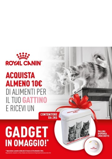 Volantino Alfa Tec
