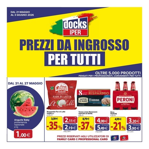 Volantino Docks Iper