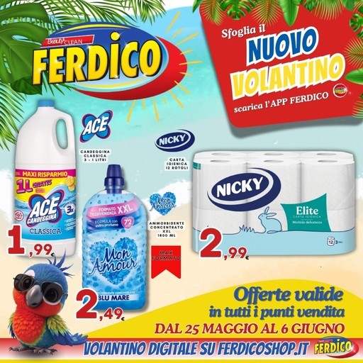 Volantino Ferdico
