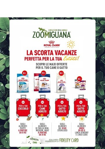 Volantino Zoomiguana