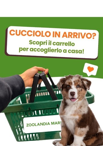 Volantino Zoolandia