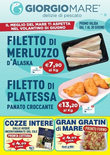 Volantino Giorgio Mare
