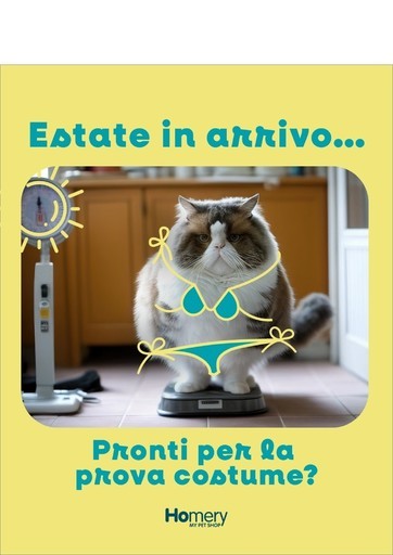 Volantino Homery