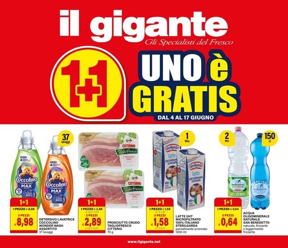 Volantino Il gigante