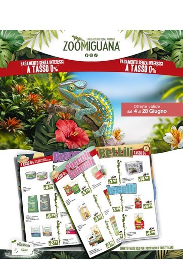 Volantino Zoomiguana