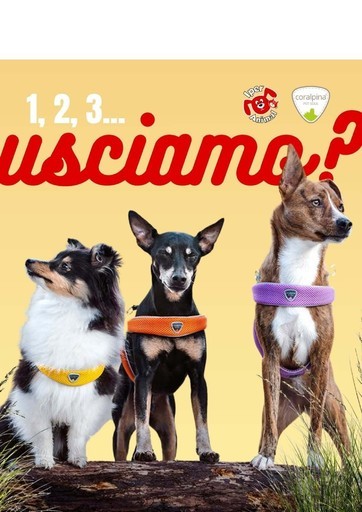 Volantino Iper Animal