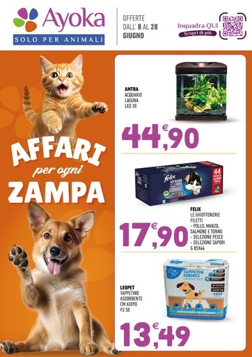 Volantino Ayoka