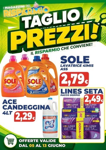 Volantino Magazzini del Risparmio