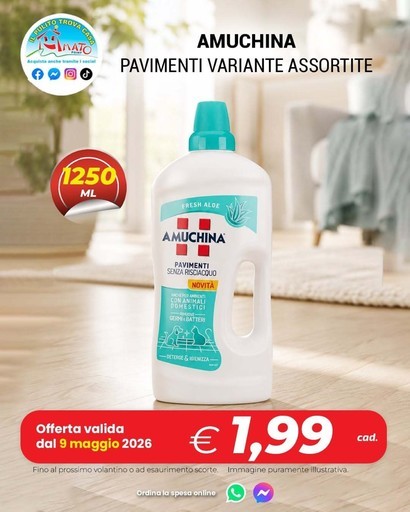 Volantino Amato Point