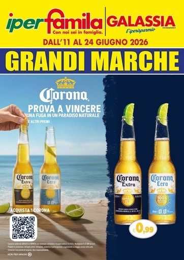Volantino IperFamila