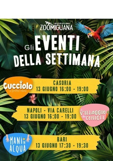 Volantino Zoomiguana