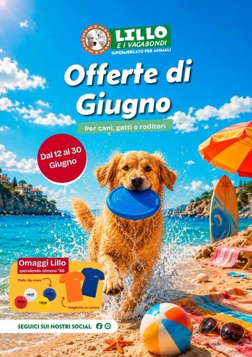 Volantino Lillo e i vagabondi