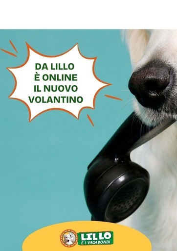 Lillo e i vagabondi - Offerte Lillo e i vagabondi