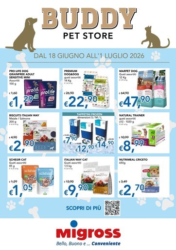 Volantino Migross Superstore