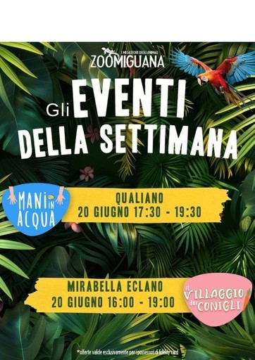 Volantino Zoomiguana