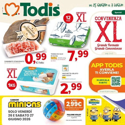 Volantino Todis
