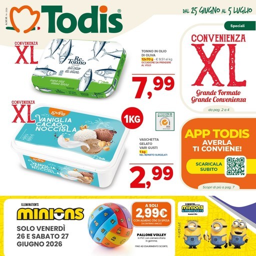 Volantino Todis