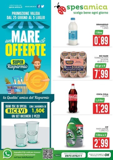 Volantino Spesa Amica