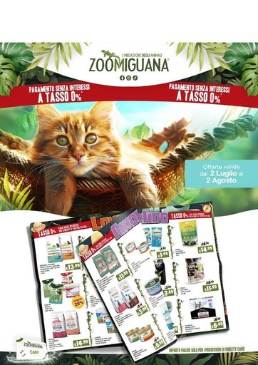 Volantino Zoomiguana