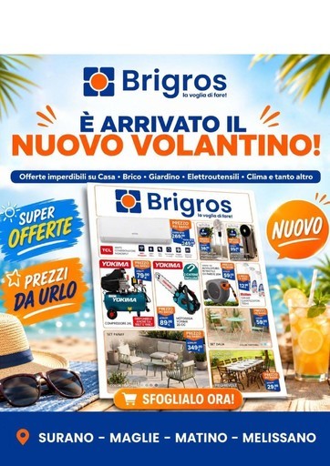 Volantino Brigros