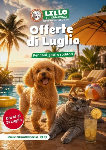 Volantino Lillo e i vagabondi