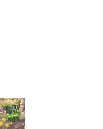 Geofarm - Offerta piante sconto del 50%