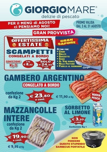 Volantino Giorgio Mare