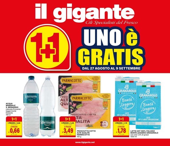 Volantino Il gigante