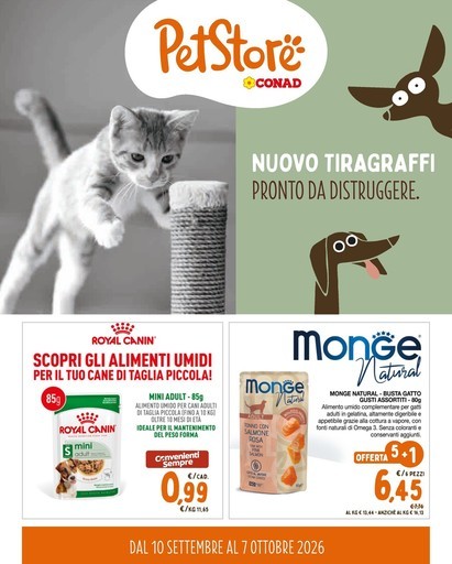 Pet Store - Nuovo tiragraffi pronto da distruggere