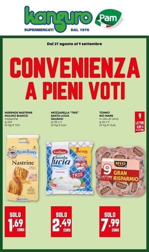 Volantino Kanguro