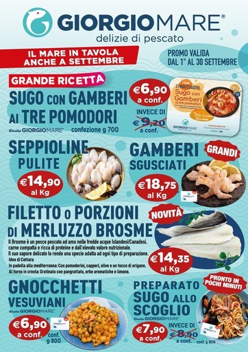 Volantino Giorgio Mare
