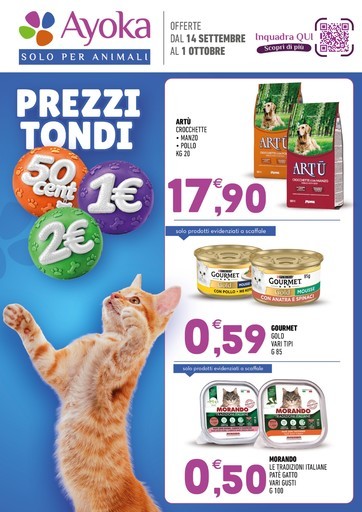 Volantino Ayoka