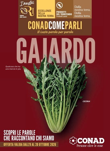 Conad City - Gajardo