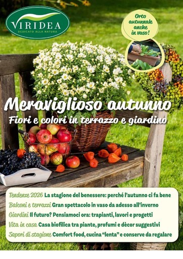 Volantino Viridea