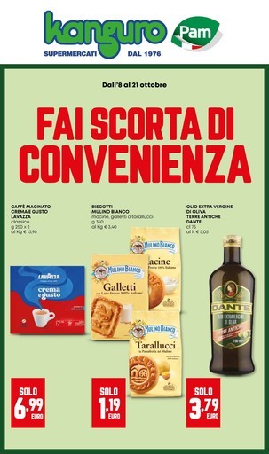 Volantino Kanguro