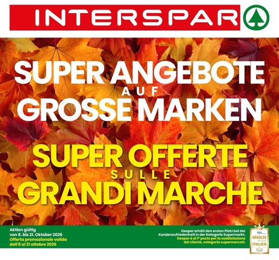 Volantino Interspar