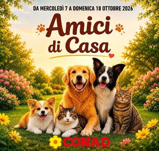 Volantino Conad