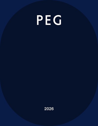 Volantino Peg Perego