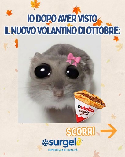 Volantino Surgelè