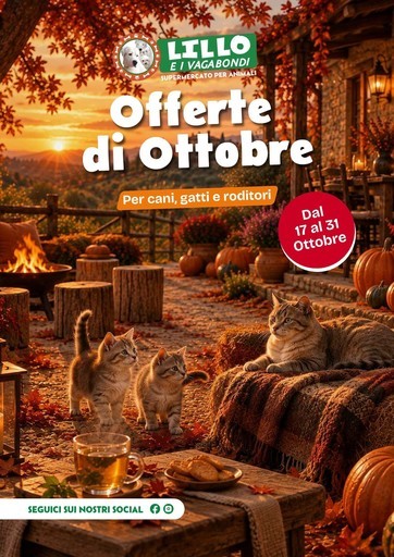 Volantino Lillo e i vagabondi